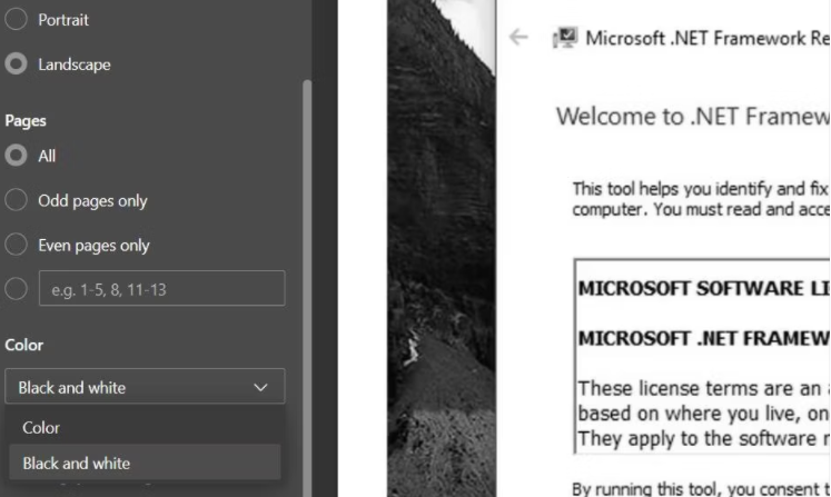 如何在Windows 11中把PDF文件转换成黑白的？ 如何 第4张
