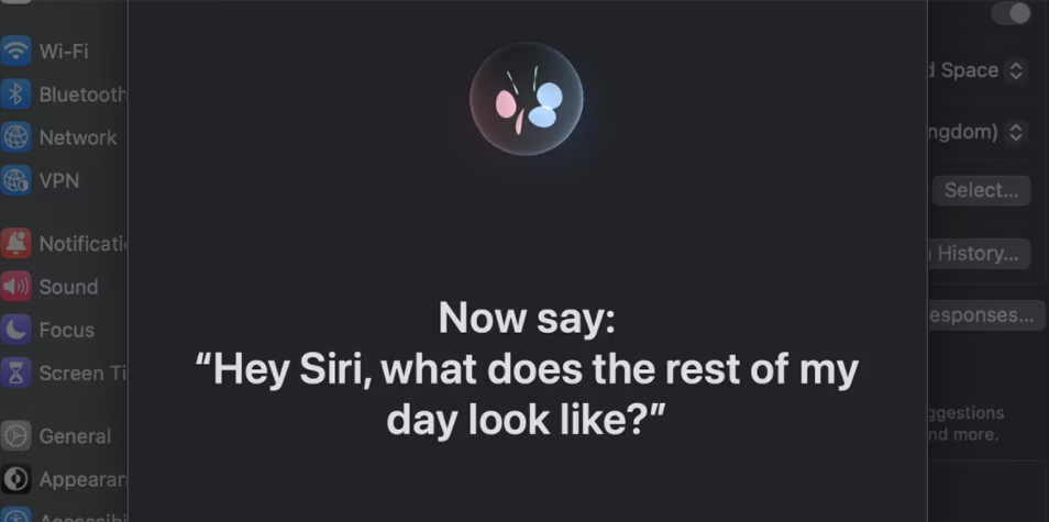 如何在你的Mac上使用Siri：快速入门指南 如何 第3张