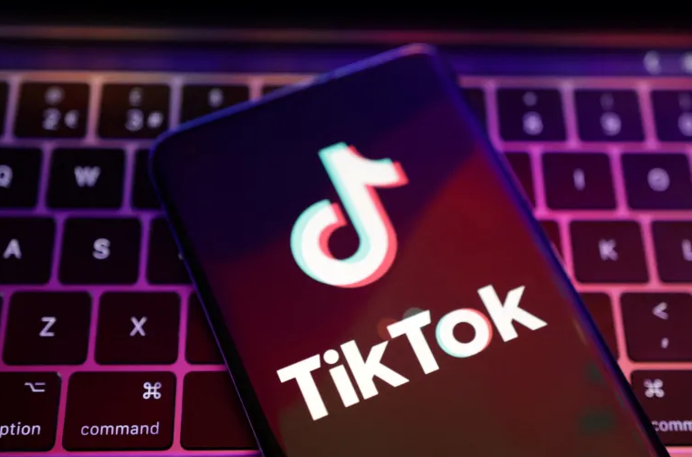 如何匿名查看 TikTok 上的个人资料 如何 第1张